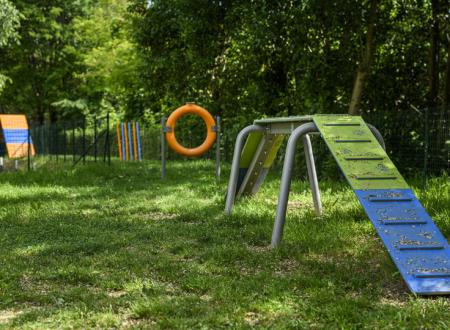 Dog Agility Zone